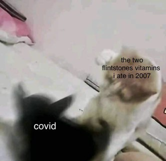 A blurry, low-resolution image shows a black and white cat lying on a bed, with text overlay reading “covid” on the left and “the two flintstones vitamins i ate in 2007” on the right, suggesting a humorous or nostalgic comparison.