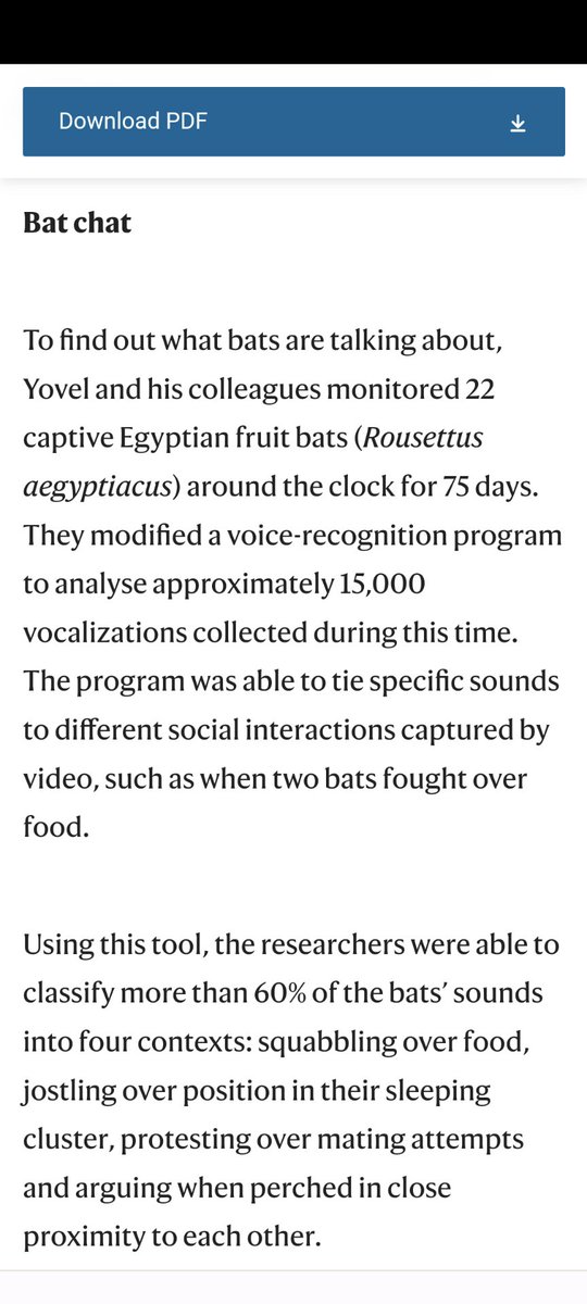 This image displays a webpage excerpt titled "Bat chat" describing a study where researchers monitored 22 Egyptian fruit bats for 75 days, using voice recognition software to classify over 60% of their vocalizations into four social contexts: squabbling over food, jostling over sleeping position, protesting over mating, and arguing when perched close together.