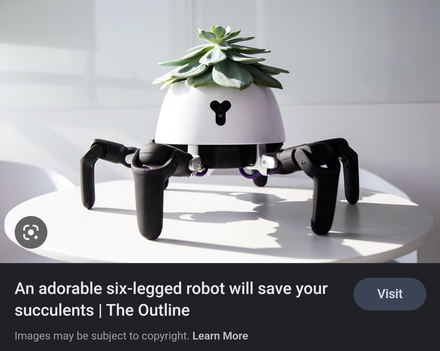 A white, six-legged robot with black legs and a succulent plant on its head sits on a white table, designed to care for succulents.