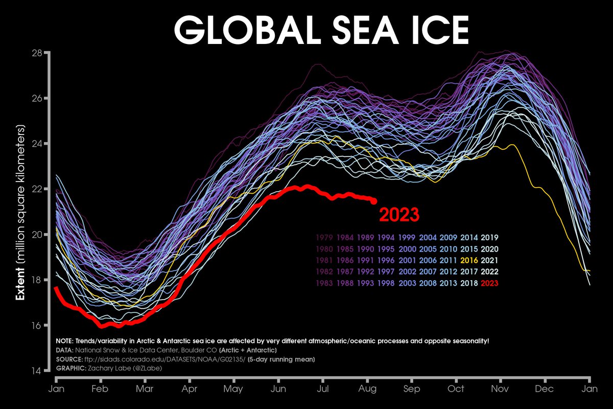 A graph titled "GLOBAL SEA ICE" shows the extent of sea ice in million square kilometers over time, with multiple colored lines representing different years from 1979 to 2023, highlighting a general decline in sea ice extent, particularly in 2023.