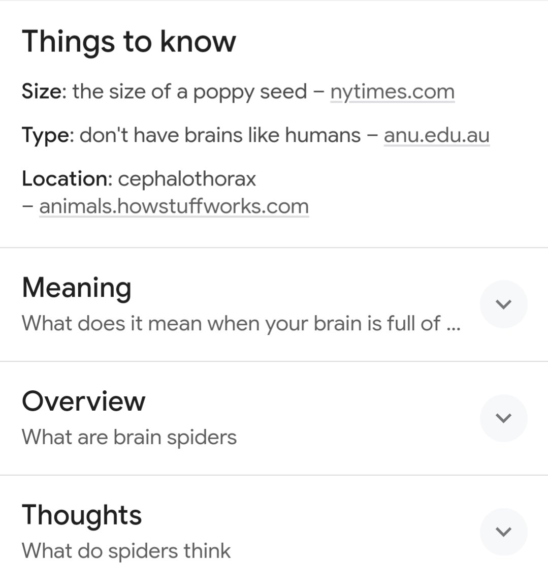 This image displays a webpage section titled "Things to know" with facts about brain spiders, including their size, type, and location, along with clickable links to external sources. Below are expandable sections on Meaning, Overview, and Thoughts.
