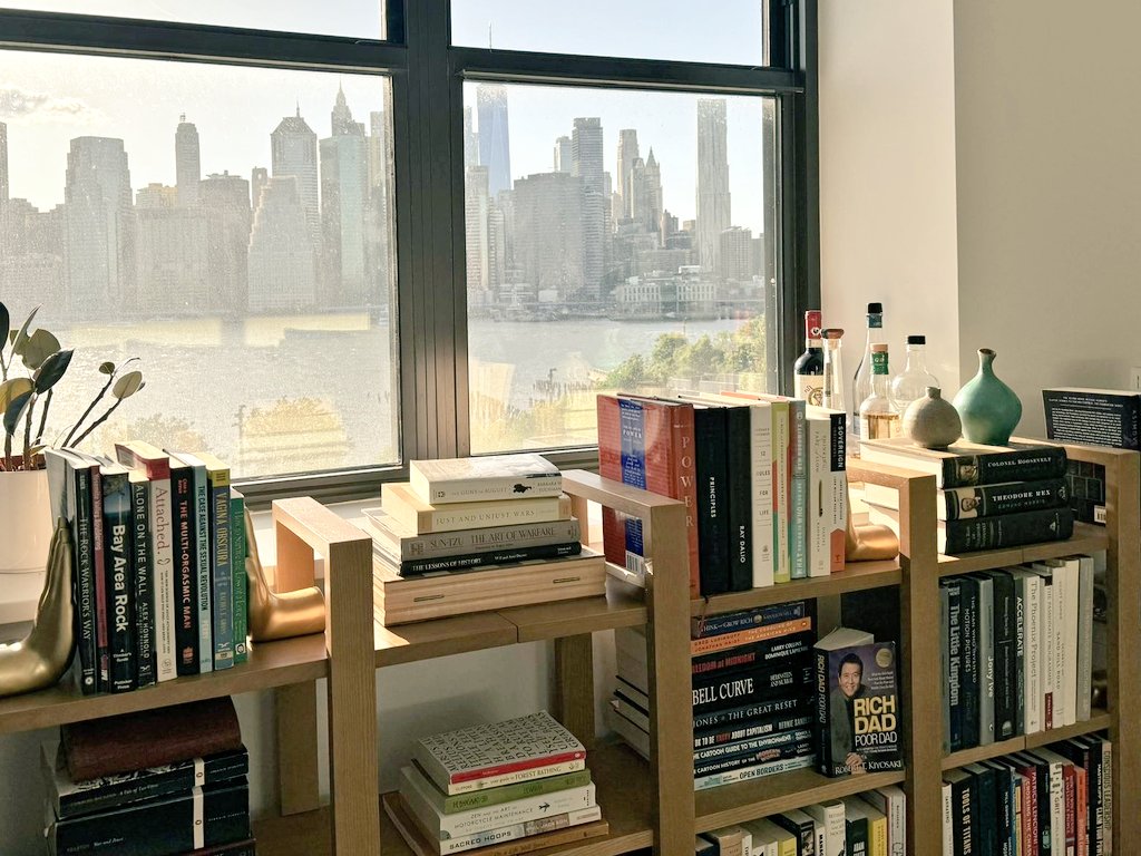A cozy bookshelf filled with books and decorative items sits beside a large window overlooking a city skyline and river, with sunlight streaming in.