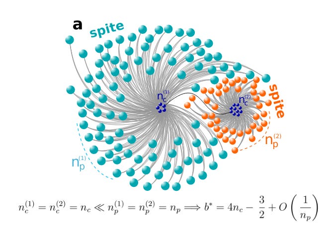 This diagram illustrates a complex network structure with two spiral-like clusters, one in teal and one in orange, each containing central nodes labeled n_c^(1) and n_c^(2), surrounded by numerous connected spheres representing nodes. The image also includes mathematical notation below, showing a relationship involving n_c, n_p, and a variable b*.
